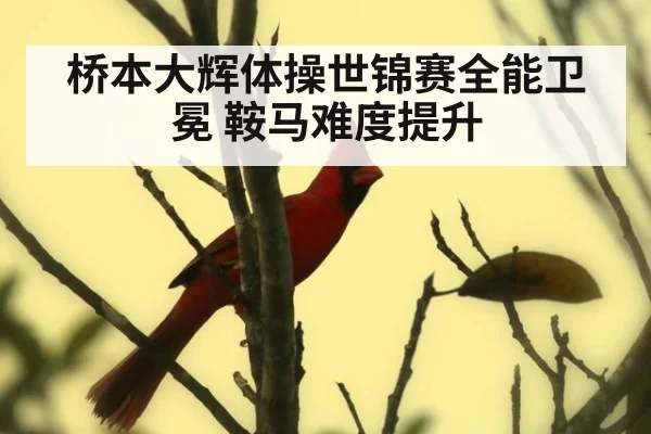桥本大辉体操世锦赛全能卫冕 鞍马难度提升