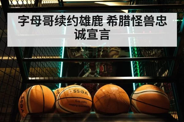 Giannis Antetokounmpo basketball